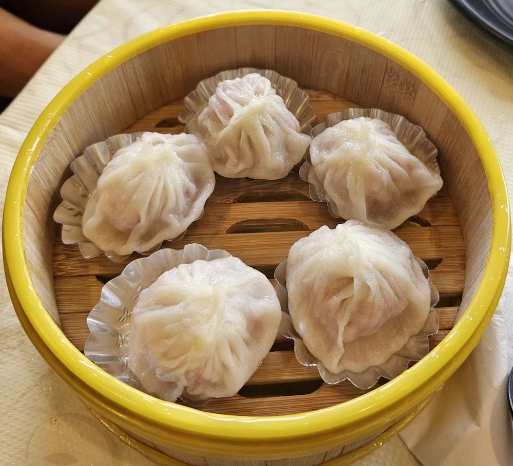 Shanghai Soup Dumplings (XLB) at Dumpling Specialist