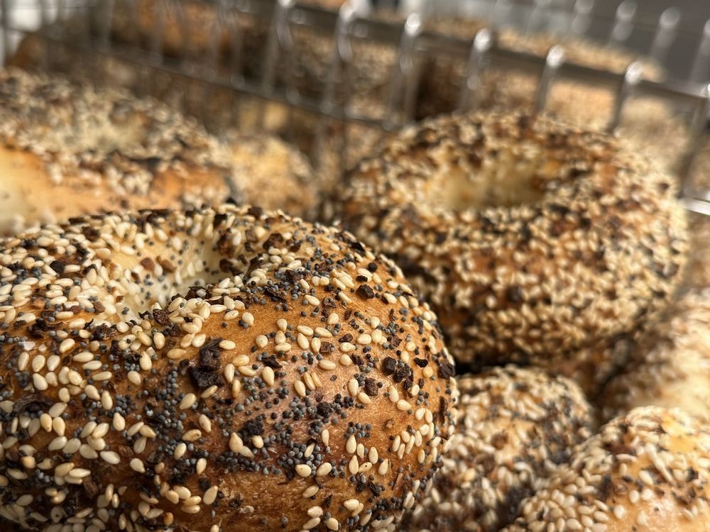 Bagel at Bagel Daddy